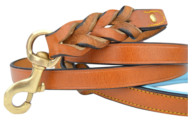 Leather Braided Dog Leash, Tan with Teal Padded Handle, 6ft x 3/4" Inch Wide, Made with Full Grain Genuine Leather - PawsPlanet Australia