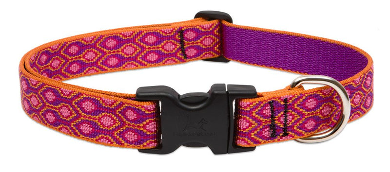 LupinePet Originals 1" Alpen Glow 16-28" Adjustable Collar for Large Dogs 1"W; 16-28" Neck - PawsPlanet Australia