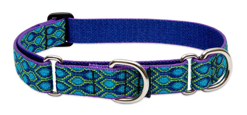 LupinePet Originals 1" Rain Song 15-22" Martingale Collar for Medium and Larger Dogs 1"W; 15-22"Neck - PawsPlanet Australia