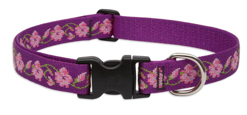 LupinePet Originals 1" Rose Garden 12-20" Adjustable Collar for Medium and Larger Dogs 1"W; 12-20" Neck