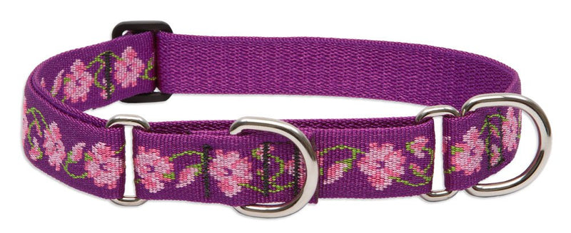 LupinePet Originals 1" Rose Garden 15-22" Martingale Collar for Medium and Larger Dogs 1"W; 15-22"Neck - PawsPlanet Australia