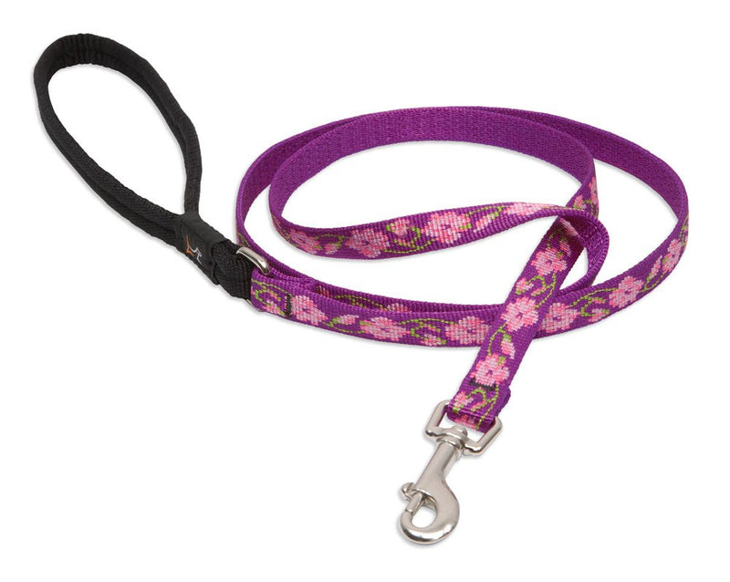 LupinePet Originals 1/2" Rose Garden 6-Foot Padded Handle Leash for Small Pets 1/2"W; 6 Foot Length - PawsPlanet Australia