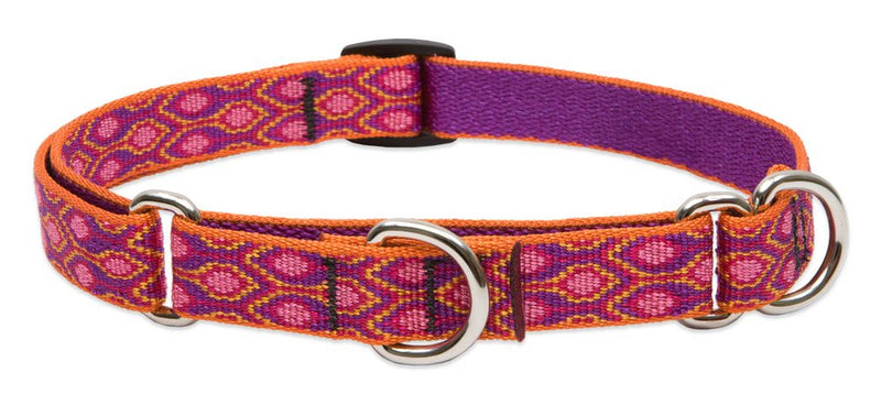 LupinePet Originals 3/4" Alpen Glow 14-20" Martingale Collar for Medium and Larger Dogs 3/4"W; 14-20"Neck - PawsPlanet Australia