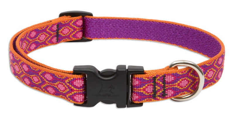 LupinePet Originals 3/4" Alpen Glow 13-22" Adjustable Collar for Medium and Larger Dogs 3/4"W; 13-22" Neck - PawsPlanet Australia