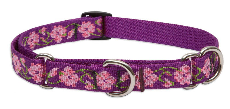 LupinePet Originals 3/4" Rose Garden 10-14" Martingale Collar for Small Dogs 3/4"W; 10-14"Neck