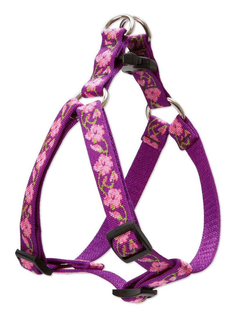 LupinePet Originals 3/4" Rose Garden 20-30" Step In Harness for Medium Dogs 3/4"W; 20-30" Girth - PawsPlanet Australia