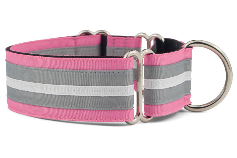 If It Barks - 1.5" Martingale Collar for Dogs - Adjustable - Nylon - Strong and Comfy - Ideal for Training - Made in USA - Medium, Spunky Medium (15"-22") - PawsPlanet Australia