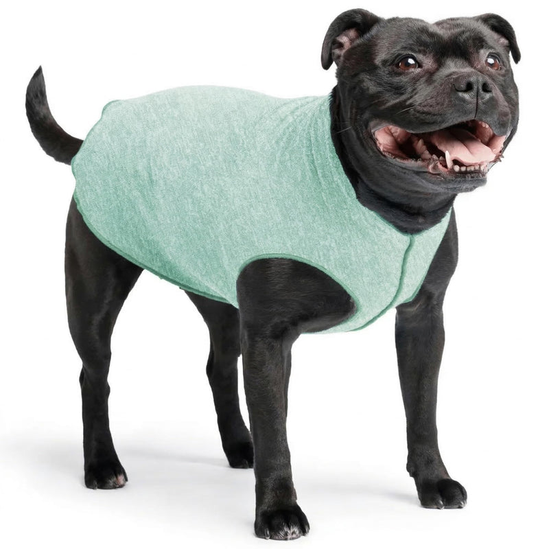 Goldpaw Dog Sun Shirt with UV Protection - Lightweight, Cooling Sun Protection Clothing for Medium Dogs - Reduce Heat Absorption - Made in the USA - Machine Washable - Pistachio Green - Size 16
