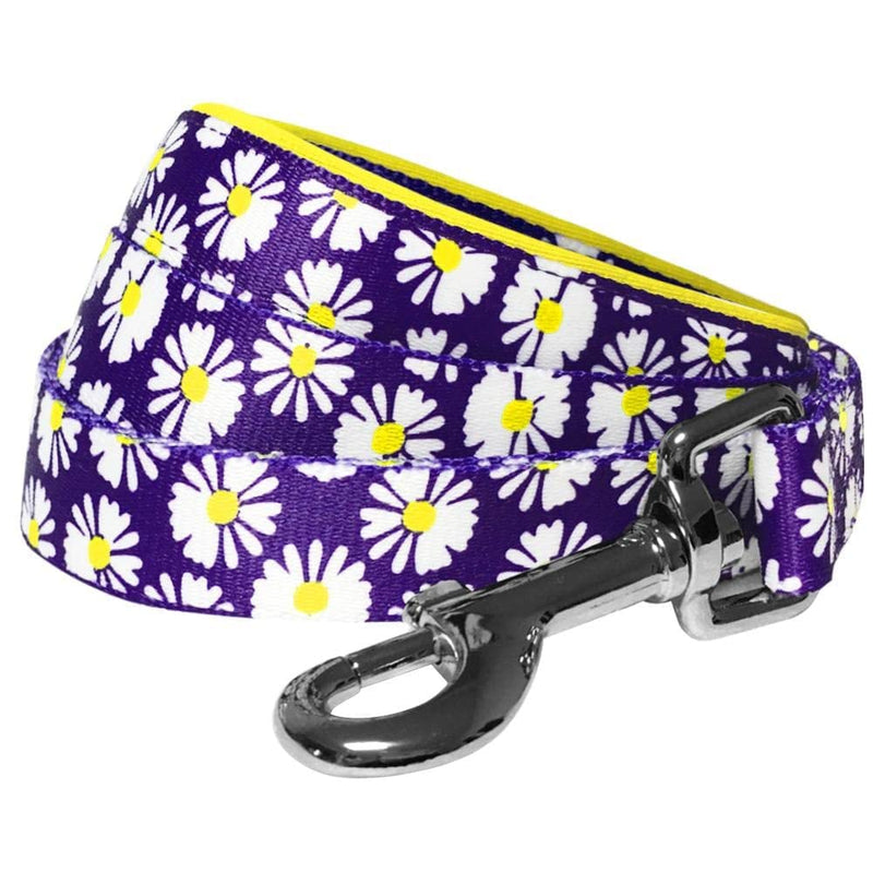 Blueberry Pet 2 Pattern Loving Daisy Prints Dog Leash with Soft & Comfortable Handle, 5 ft x 3/4", Medium, Leashes for Dogs 5' * 3/4" (Pack of 1) - PawsPlanet Australia