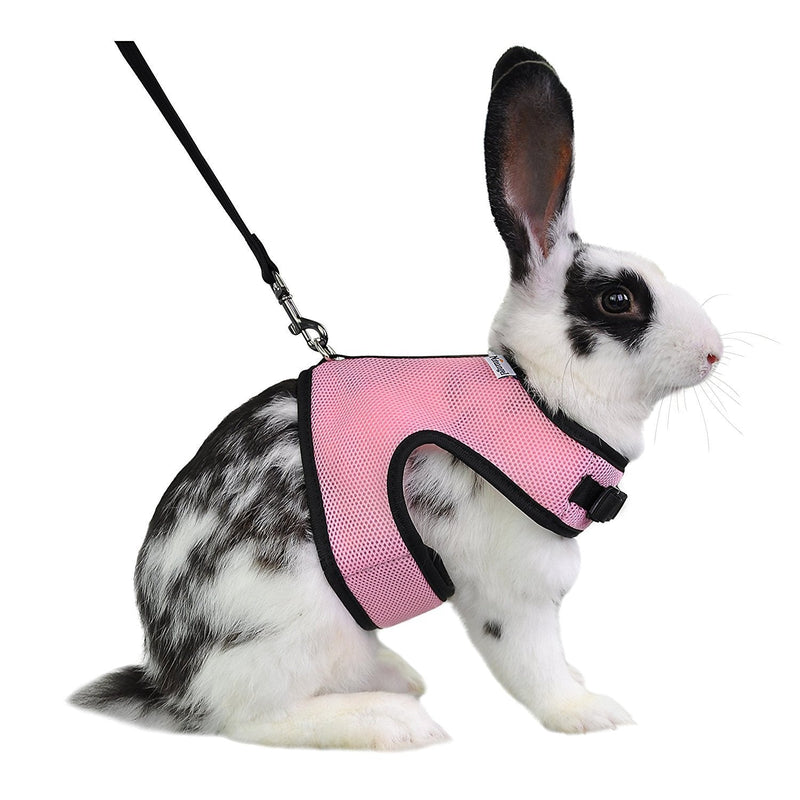 Niteangel Adjustable Soft Harness with Elastic Leash for Rabbits (L, Pink) L - PawsPlanet Australia