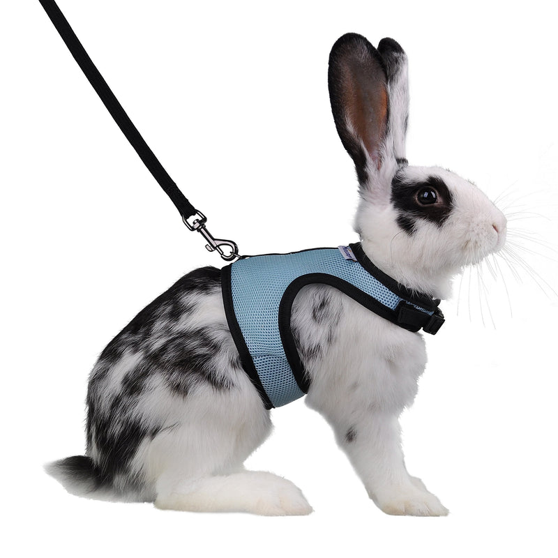 Niteangel Adjustable Soft Harness with Elastic Leash for Rabbits (L, Blue) L - PawsPlanet Australia