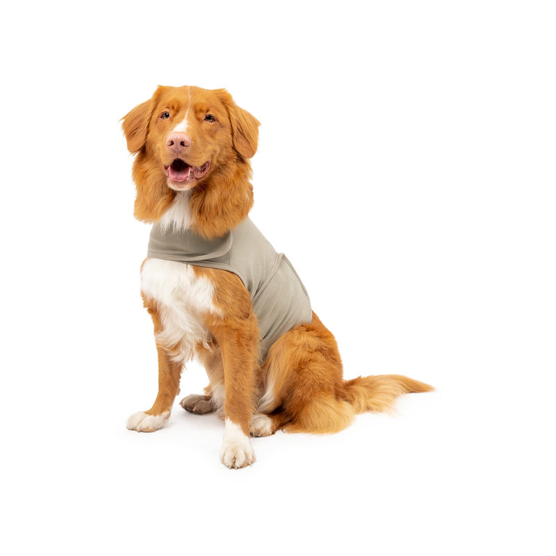 Dog Anxiety Calming Wrap, Medium, Aluminum 1 - PawsPlanet Australia