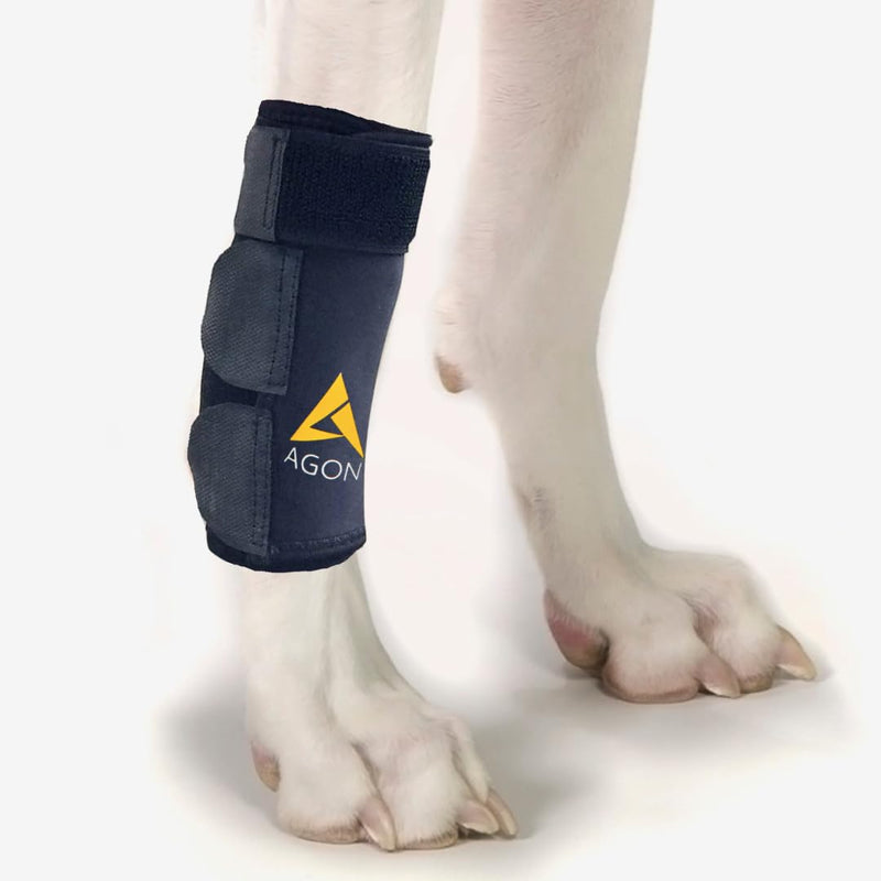 Agon® Dog Canine Front Leg Brace Paw Compression Wraps with Protects Wounds Brace Heals and Prevents Injuries and Sprains Helps with Loss of Stability Caused by Arthritis (Large/X-Large) Large/X-Large - PawsPlanet Australia