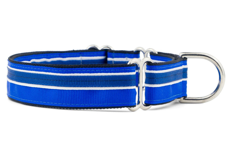 If It Barks 1" Martingale Collar for Dogs, Adjustable Nylon, USA Made, Large, Blueberry Large (19"-30") - PawsPlanet Australia