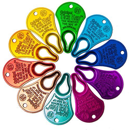 Tick Key pack of 2 Assorted - PawsPlanet Australia
