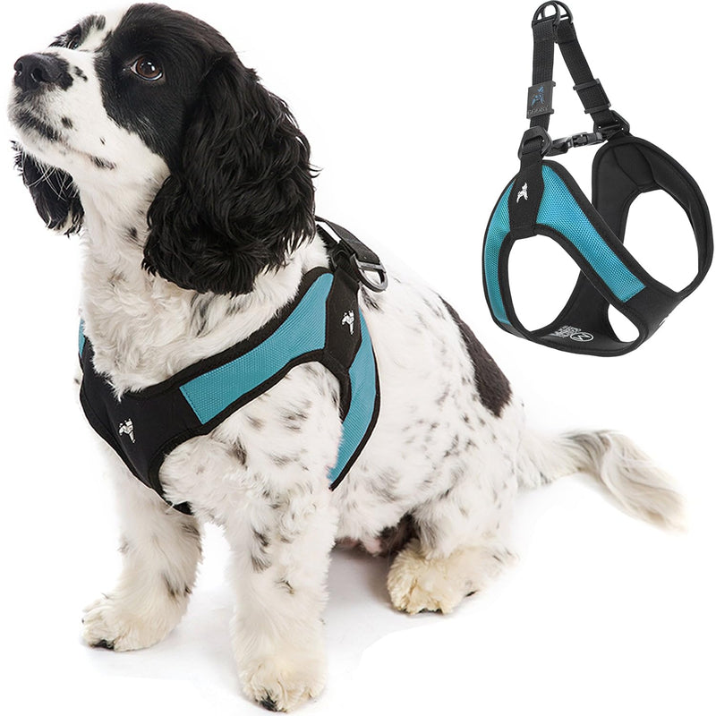 Gooby - Escape Free Easy Fit Harness, Small Dog Step-in Harness for Dogs that Like to Escape Their Harness, Turquoise, Small Small chest (16~19.25") - PawsPlanet Australia