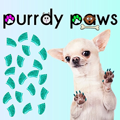40-Pack Soft Nail Caps for Dogs Claws Seafoam Glitter XXL - PawsPlanet Australia