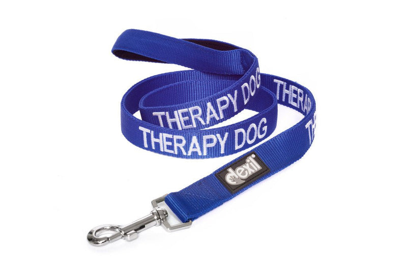 Dexil Therapy Dog Leash - Blue, 4ft Padded, Prevents Accidents - PawsPlanet Australia