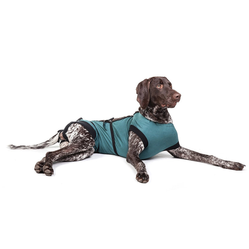 E-Collar Alternative for Cats and Dogs: After Surgey Wear. Recommended by Vets (XX-Large, Bottle Green) - PawsPlanet Australia