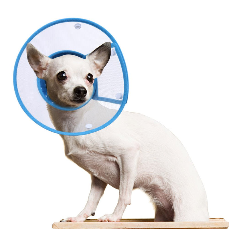 Cat Cone Collar, to Stop Licking, Recovery Elizabethan After Surgery, Clear Soft Neck E-Collar, Not Block Vision, for Kitten Puppy Dog Pet in Surgery Remedy - M in Blue 6"-9" - PawsPlanet Australia