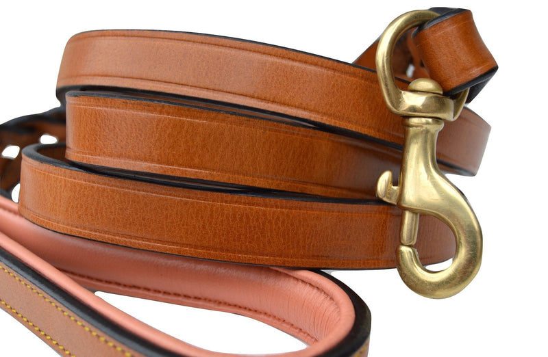 Leather Braided Dog Leash, Tan and Coral, 6 Feet x 3/4 Inch Wide, Genuine Real Leather - PawsPlanet Australia