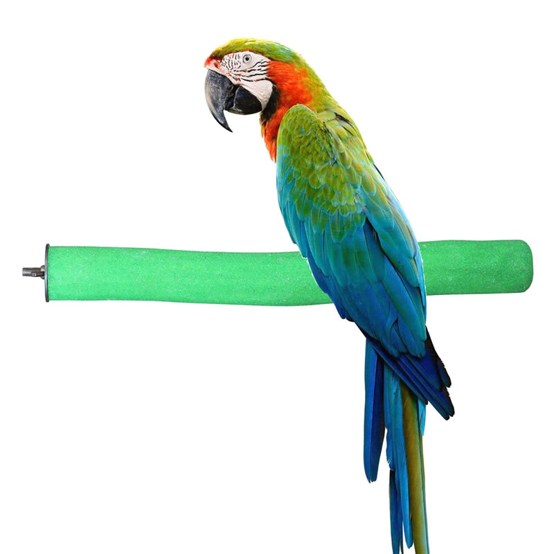 Bird Perch Rough-surfaced Nature Wood Stand Toy Branch for Parrots CW057-M