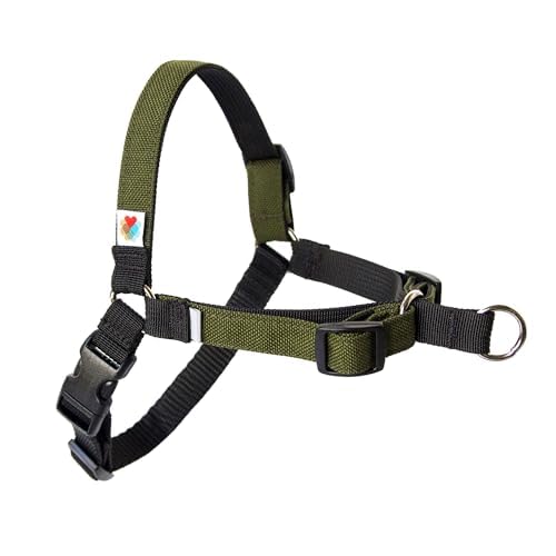 Wildebeest No Pull Dog Harness | Comfortable Training Harnesses | Effective No Pull Harness Design | Ideal for Medium Sized Dog | 4-Point Adjustable(M - 22~28 inch Girth, Olive) M - 22~28 inch Girth - PawsPlanet Australia
