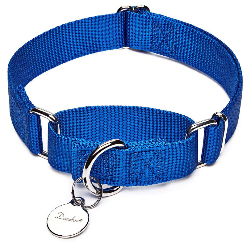Martingale Dog Collar, Escape-Proof and No Slip Design, Heavy-Duty Nylon with Metal Buckle, Adjustable for Small, Medium & Large Dogs, Colorfast for Training, Daily Walks (Royal Blue, M) Medium: 14"-21" Royal Blue