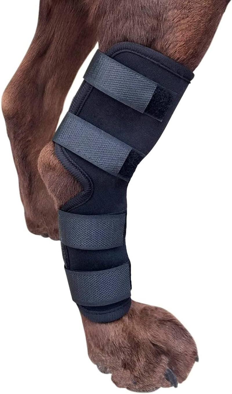 Labra Dog Extra Supportive Canine Rear (Hind) Leg Hock Joint Compression Wrap for Recovery, Protection, and Sprain and Injury Prevention, Ankle Brace with Knee Support for Dogs - Medium - PawsPlanet Australia