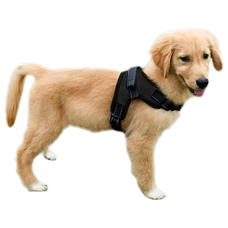 No Pull Reflective Adjustable Dog Harness with Handle- Comfortable Soft All Weather Mesh, Easy On Puppy Harness for Small Medium and Large Dogs (Black) Small Black - PawsPlanet Australia