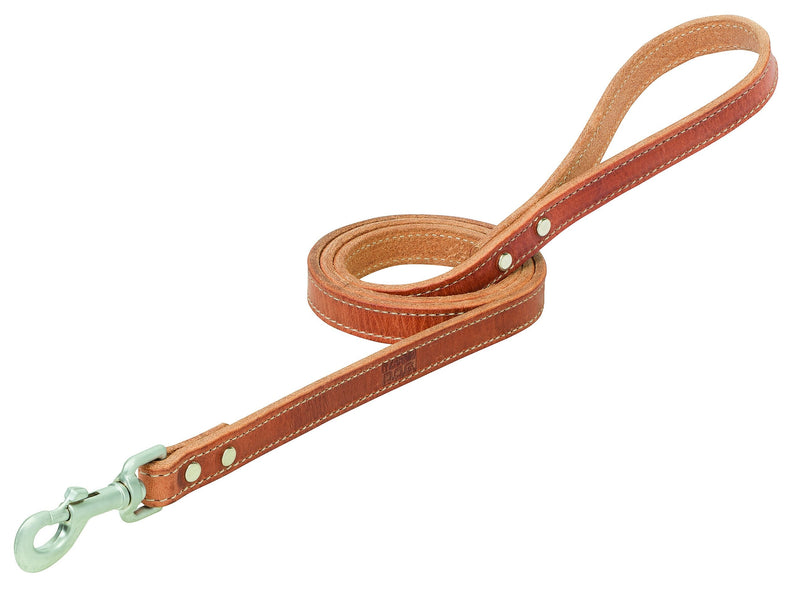 Terrain D.O.G. Harness Leather Dog Leash 3/4" x 6' - PawsPlanet Australia