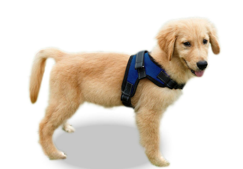 Copatchy No Pull Reflective Adjustable Dog Harness with Handle Small Blue