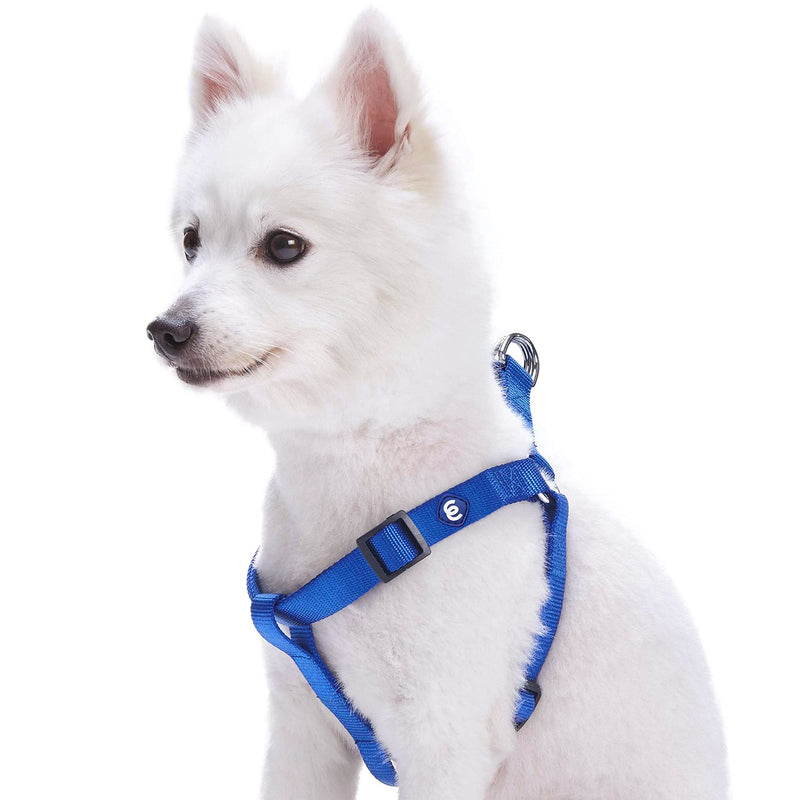 Blueberry Pet Essentials Step-in Dog Harness, Small Size | Adjustable Royal Blue Vest | Classic Solid Nylon for Boy & Girl Dogs, Chest Girth 16.5" - 21.5" - PawsPlanet Australia