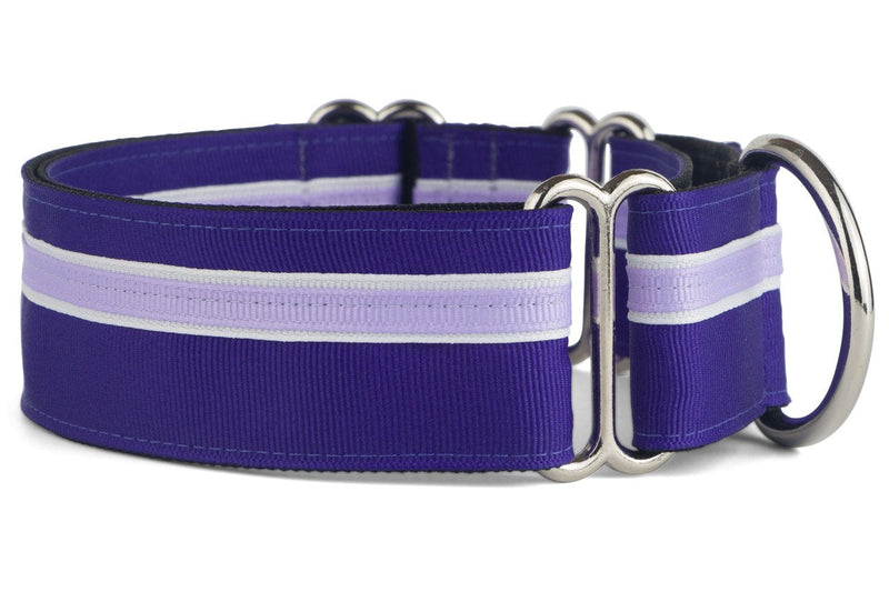 If It Barks - 1.5" Martingale Collar for Dogs - Adjustable - Nylon - Strong and Comfy - Ideal for Training - Made in USA - Medium, Grape Crush Medium (15"-22") - PawsPlanet Australia