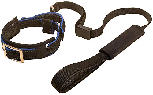 Creation Core 1 Set Adjustable Dog Seat Belt & Dog Collar with Elastic Handle Soft Padded Premium 2 in 1 Reflective Pet Leash - PawsPlanet Australia
