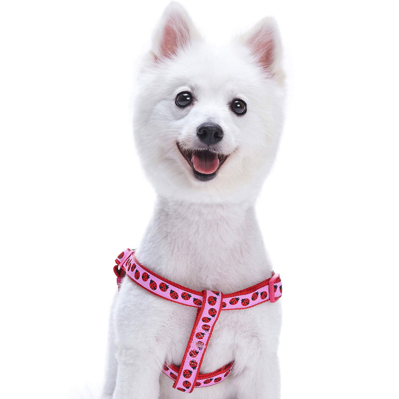 Blueberry Pet Essentials 2 Patterns Step-in Ladybug Designer Dog Harness, Chest Girth 20" - 26", Medium, Adjustable Harnesses for Dogs - PawsPlanet Australia