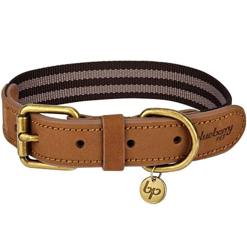 Blueberry Pet Soft & Comfy Genuine Full Grain Leather & Polyester Combo Adjustable Dog Collar - Classic Staple Striped in Chocolate and Taupe, Medium, Neck 15"-18" 1" Wide * (15"-18") Neck (Pack of 1) Leather & Polyester - Chocolate & Taupe - PawsPlanet Australia
