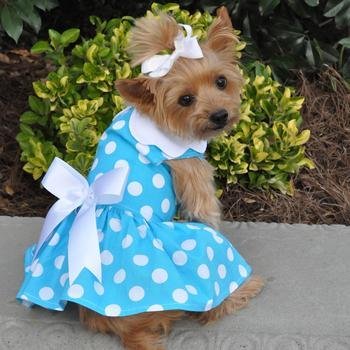 Blue Polka Dot Dress with Leash and D Ring (Small) Small