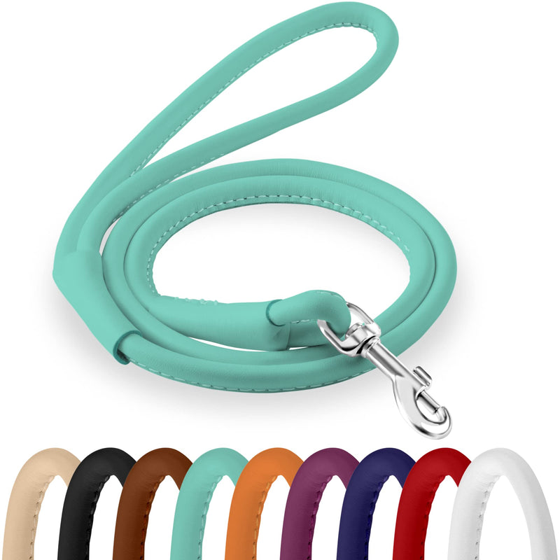 CollarDirect Rolled Leather Dog Leash 4ft, Soft Padded Training Leather Dog Lead 6ft, Puppy Leash Rolled Leather Small Medium Large Black Blue Red Orange Green Pink White (Mint Green, Size XL 6ft) - PawsPlanet Australia