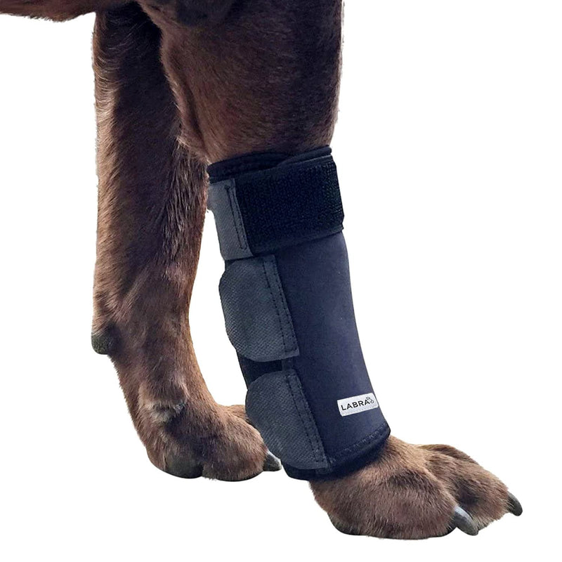 Labra Dog Canine Front Leg Compression Brace Wrap Sleeve, Protects Wounds, Braces, Heals, and Prevents Injuries and Sprains, Helps with Loss of Stability Caused by Arthritis - Large/Extra Large - PawsPlanet Australia