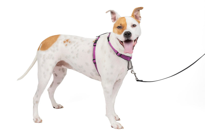 PetSafe 3 in 1 Dog Harness - No Pull Solution for Dogs - Reflective Dog Harness - Front D-Ring Clip Helps Stop Pulling - Comfortable Padded Straps - Top Handle Enhances Control - Plum - Medium Medium (Pack of 1) - PawsPlanet Australia