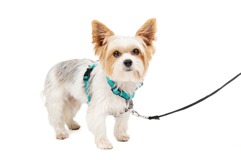 PetSafe 3 in 1 Dog Harness - No Pull Solution for Dogs - Reflective Dog Harness - Front D-Ring Clip Helps Stop Pulling - Comfortable Padded Straps - Top Handle Enhances Control - Teal - Extra Small - PawsPlanet Australia