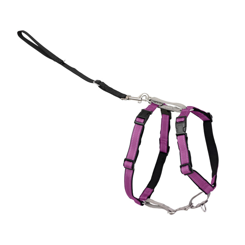 PetSafe 3-in-1 Harness - Comfortable Easy-Walk Dog Chest Harness with Front Leash Attachment to Reduce Pulling, Choking & Gagging - Dog Obedience Gear - Large - Plum Large (Pack of 1)