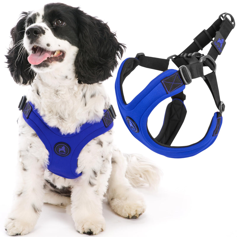 Gooby Escape Free Sport Harness - Blue, Small - No Choke Step-in Patented Neoprene Dog Harness with Four-Point Adjustment for Small to Medium Dogs Small chest (12.5-18.75") - PawsPlanet Australia
