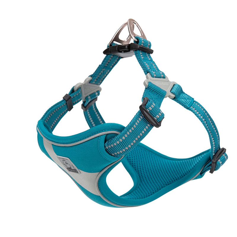 TRUE LOVE Dog Harness TLH5991 Anti Pull Safety Vest Step-in Style Harness for More Comfort and Less Tug Reflective Pet Harness by Truelove Blue L