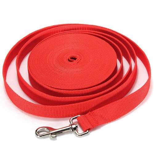 Extra Long Pet Dog Training Leash - 30Ft/40FT/50FT/66FT Dog Obedience Recall Leash Basic Lead Backyard Play Pull Back Rope for Medium and Large Dogs Heavy Duty Nylon Leash 60Ft/20m Red - PawsPlanet Australia