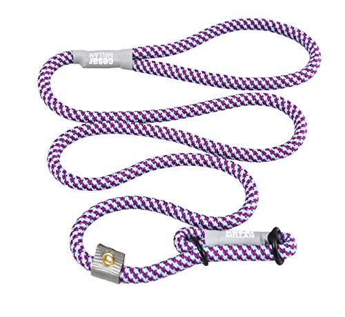 Cesar Millan Slip Lead Leash™ - 2-in-1 Slip Collar Dog Training Lead & Collar | Heavy Duty Durable Weatherproof Rope Leash, No Pull Training | Length 4ft Diameter 4/10”(Regular, Aqua/Purple) Regular - PawsPlanet Australia