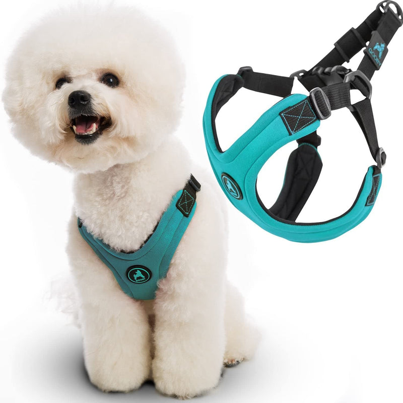 Gooby Escape Free Sport Harness - No Choke Step-in Patented Neoprene Small Dog Harness with Four-Point Adjustment - On The Go Dog Harness for Medium Dogs No Pull and Small Dogs for Everyday Use Small chest (12.5-18.75") Turquoise - PawsPlanet Australia