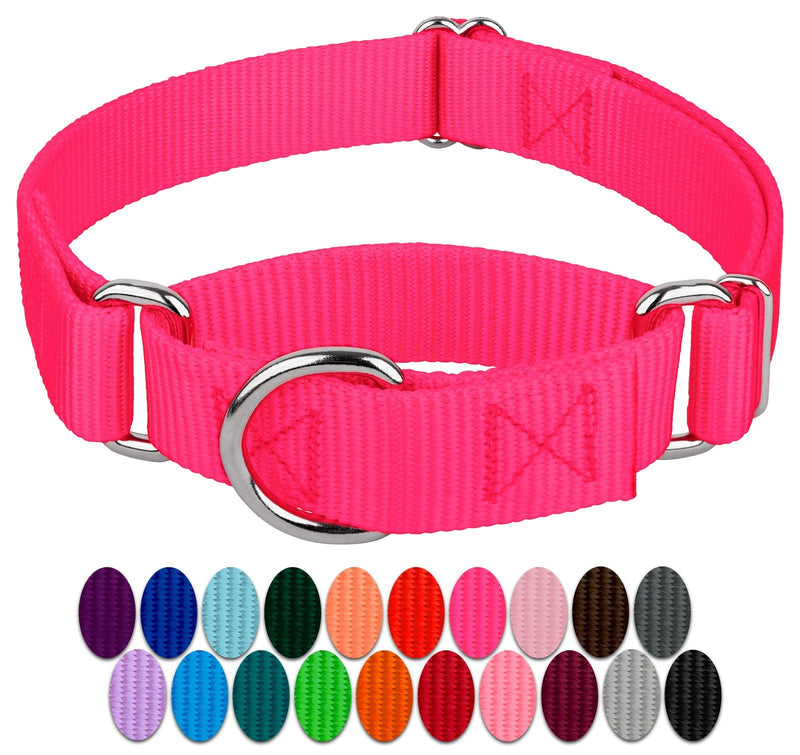 Country Brook Petz Martingale Dog Collar - Heavy-Duty Training Collar with No Buckle - Service Dog Collar for All Pups - Vibrant, Colorful Collection - Medium, Hot Pink Medium (Pack of 1) - PawsPlanet Australia