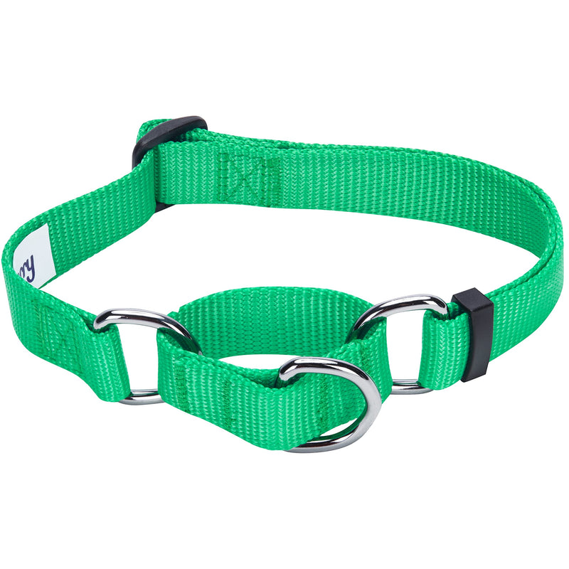 Blueberry Pet Essentials Martingale Safety Training Dog Collar, Emerald, Medium, Heavy Duty Nylon Adjustable Collars for Dogs - PawsPlanet Australia